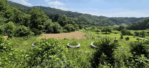 물건 사진 10