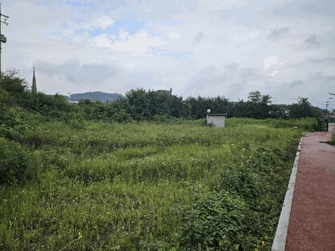 물건 사진 14
