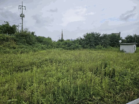 물건 사진 24