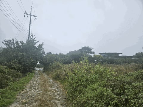 물건 사진 34