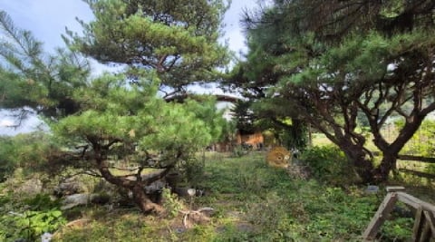 물건 사진 5