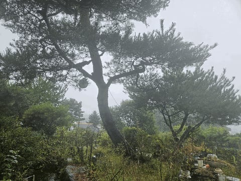 물건 사진 45