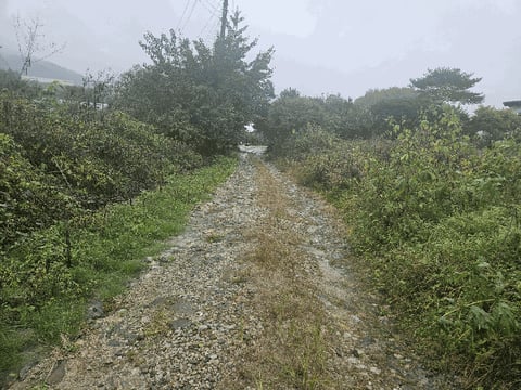 물건 사진 51