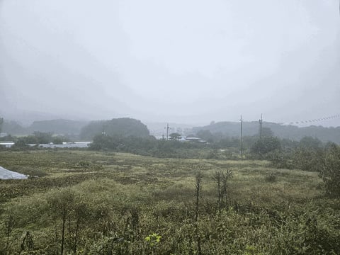 물건 사진 26