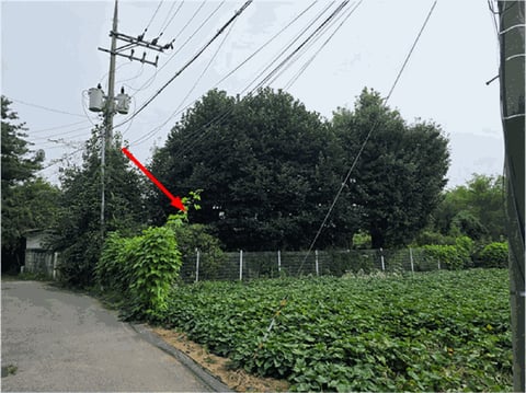 물건 사진 9