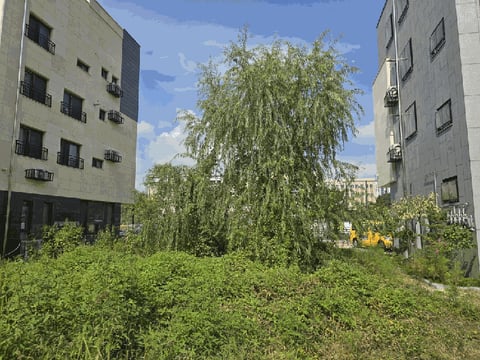 물건 사진 11