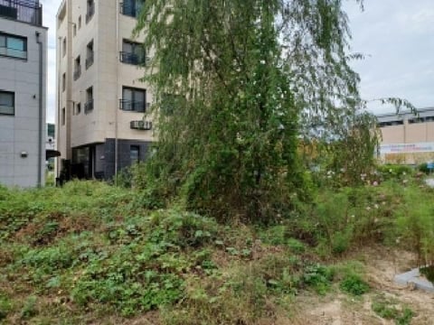 물건 사진 7