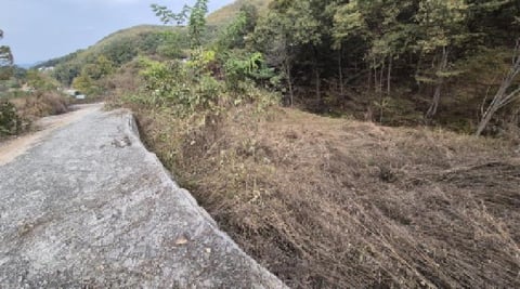 물건 사진 11