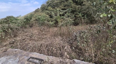 물건 사진 14