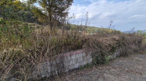물건 사진 19