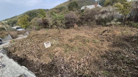 물건 사진 3