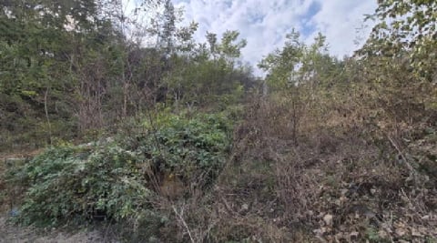 물건 사진 30