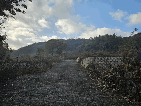 물건 사진 41