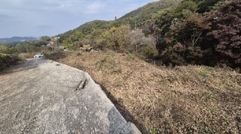 물건 사진 9