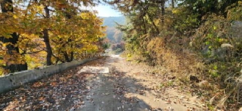 물건 사진 15