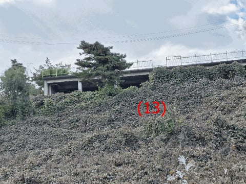 물건 사진 58