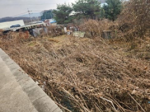 물건 사진 3