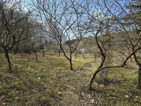물건 사진 17