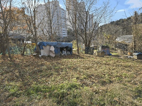 물건 사진 18