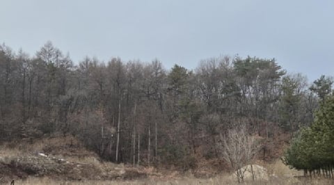 물건 사진 3