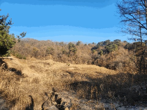 물건 사진 21
