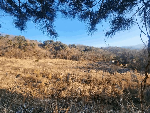 물건 사진 22