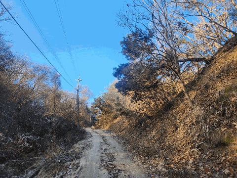 물건 사진 24