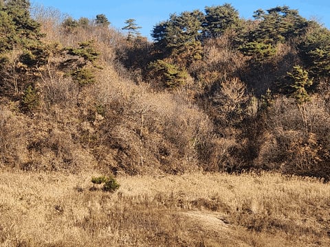 물건 사진 25