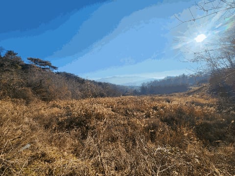 물건 사진 27