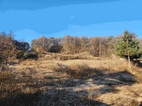 물건 사진 29
