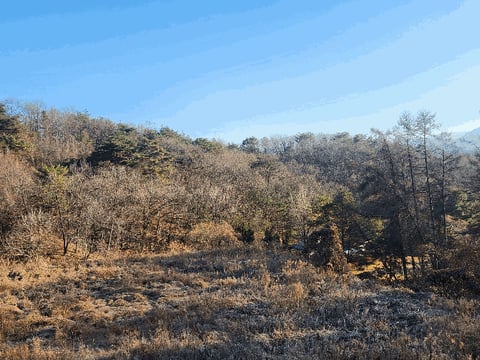 물건 사진 30