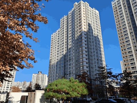 물건 사진 10