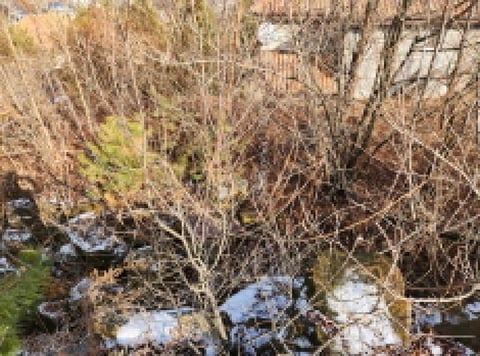 물건 사진 28