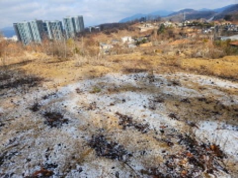 물건 사진 49