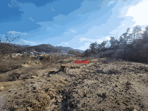 물건 사진 71
