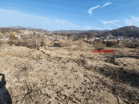 물건 사진 87