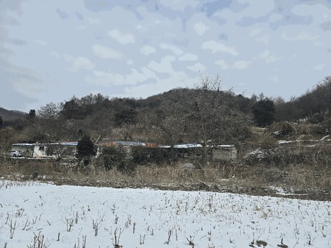 물건 사진 14