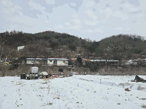 물건 사진 17