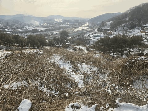 물건 사진 18