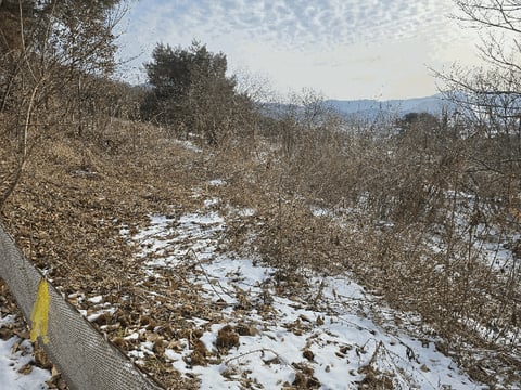 물건 사진 21