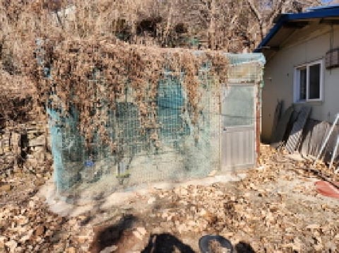 물건 사진 8
