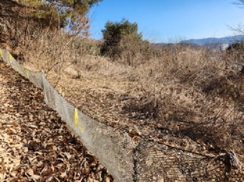 물건 사진 9