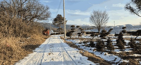 물건 사진 13