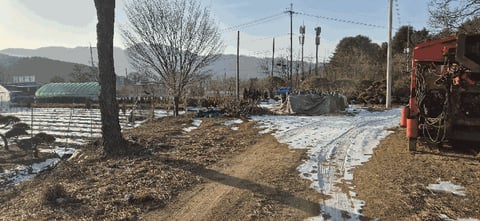 물건 사진 14