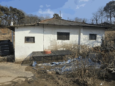 물건 사진 16