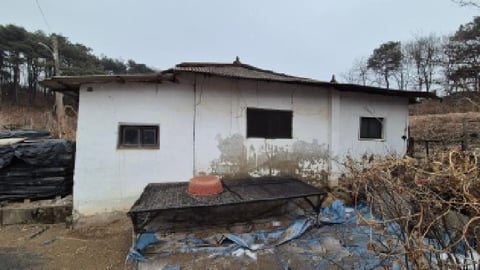 물건 사진 4