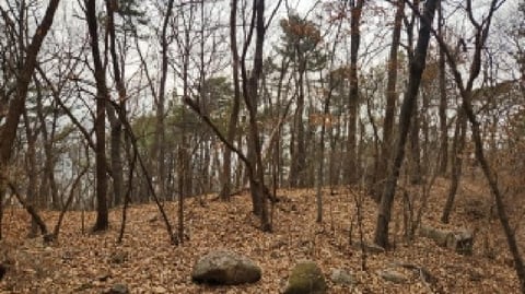 물건 사진 5