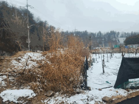 물건 사진 11