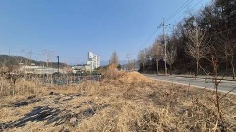 물건 사진 5