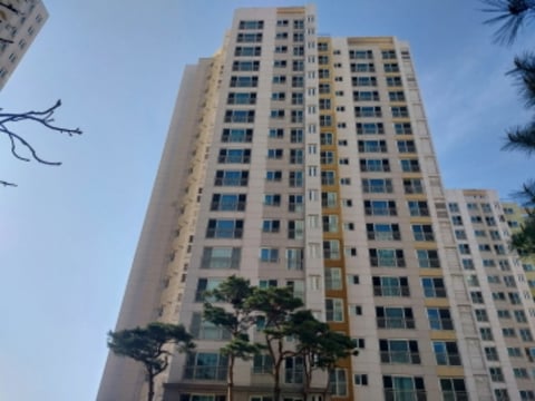 물건 사진 2